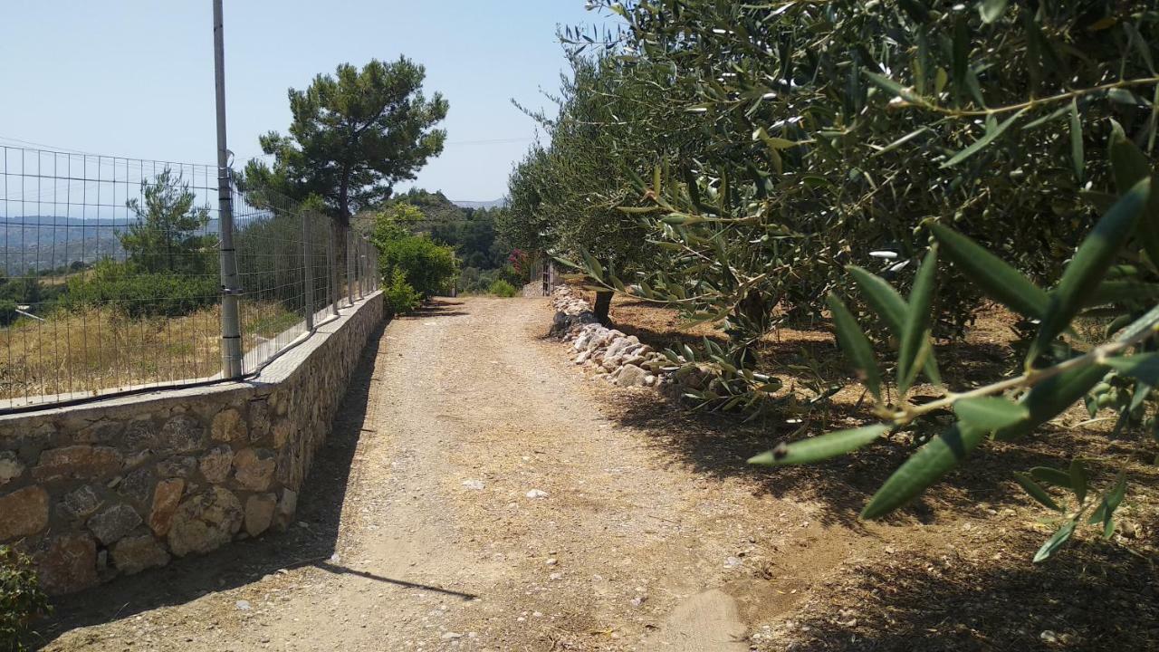 Dora's House Vakantiehuis